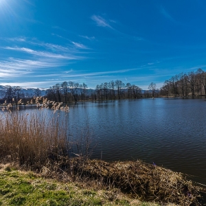 bukowiec-fot-ewa-jakubowska07