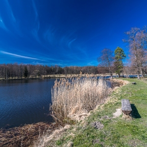 bukowiec-fot-ewa-jakubowska08