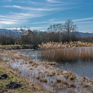 bukowiec-fot-ewa-jakubowska10