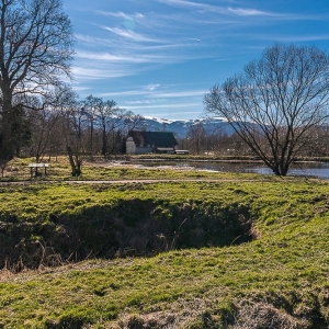 bukowiec-fot-ewa-jakubowska11