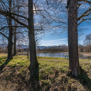 bukowiec-fot-ewa-jakubowska13
