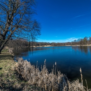 bukowiec-fot-ewa-jakubowska15