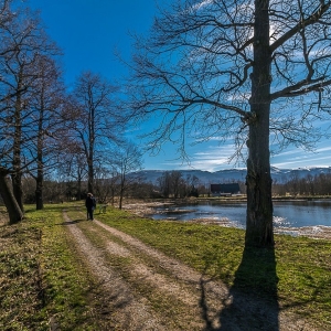 bukowiec-fot-ewa-jakubowska16