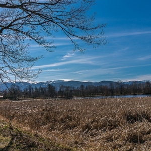 bukowiec-fot-ewa-jakubowska21