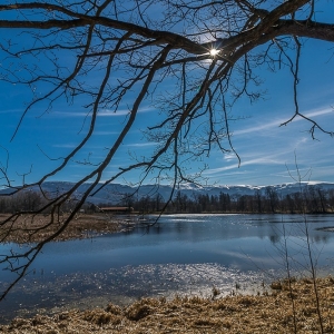 bukowiec-fot-ewa-jakubowska22