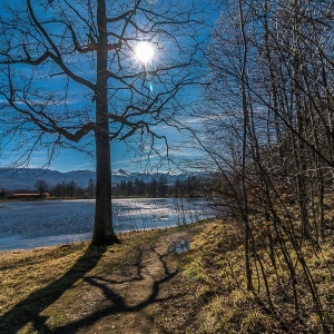 bukowiec-fot-ewa-jakubowska24
