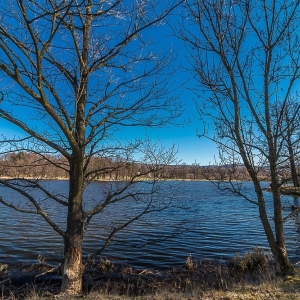 bukowiec-fot-ewa-jakubowska39