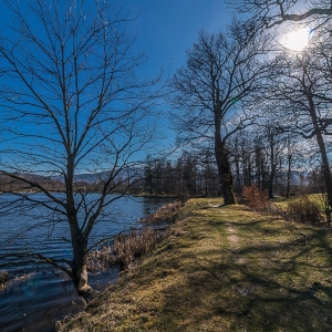 bukowiec-fot-ewa-jakubowska40