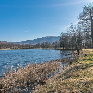bukowiec-fot-ewa-jakubowska41