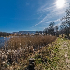 bukowiec-fot-ewa-jakubowska42
