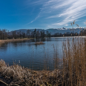 bukowiec-fot-ewa-jakubowska45