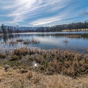 bukowiec-fot-ewa-jakubowska46