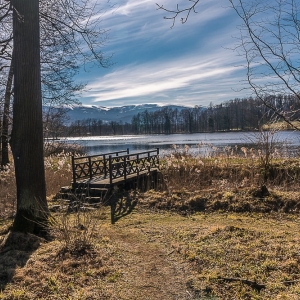 bukowiec-fot-ewa-jakubowska47
