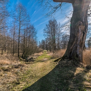 bukowiec-fot-ewa-jakubowska48
