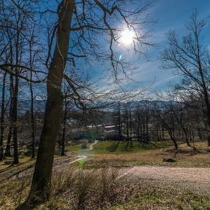 bukowiec-fot-ewa-jakubowska55