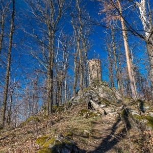 bukowiec-fot-ewa-jakubowska60
