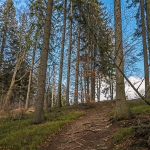wieza-trojgarb-fot-ewa-jakubowska05
