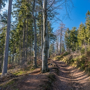 wieza-trojgarb-fot-ewa-jakubowska07