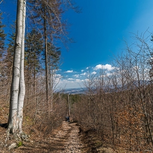 wieza-trojgarb-fot-ewa-jakubowska61