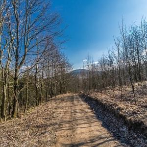 wieza-trojgarb-fot-ewa-jakubowska67