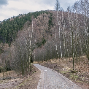 borowa-fot-ewa-jakubowska10