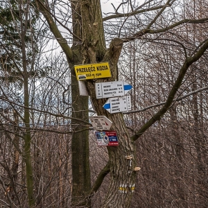 borowa-fot-ewa-jakubowska11