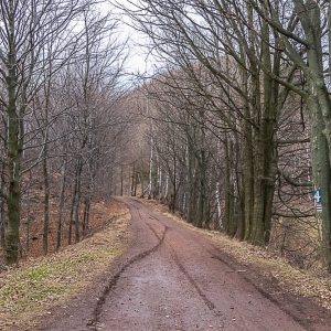 borowa-fot-ewa-jakubowska12