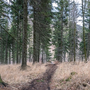 borowa-fot-ewa-jakubowska14