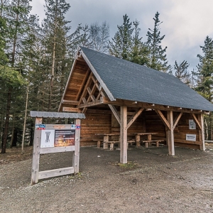 borowa-fot-ewa-jakubowska20