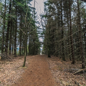 borowa-fot-ewa-jakubowska39