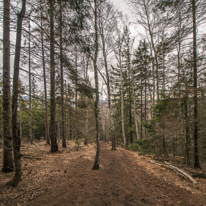 borowa-fot-ewa-jakubowska41
