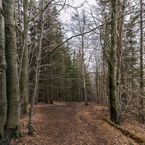 borowa-fot-ewa-jakubowska42