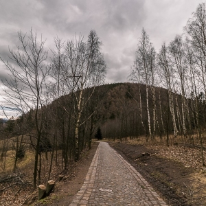 borowa-fot-ewa-jakubowska52