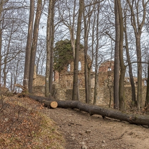stary-ksiaz-fot-ewa-jakubowska10