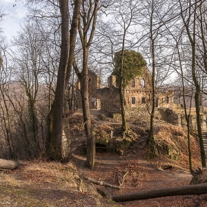 stary-ksiaz-fot-ewa-jakubowska37