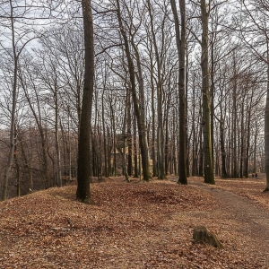 stary-ksiaz-fot-ewa-jakubowska38