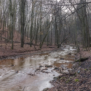 stary-ksiaz-fot-ewa-jakubowska41
