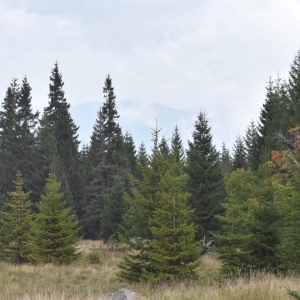 samotnia-karpacz-fot-ewa-jakubowska022
