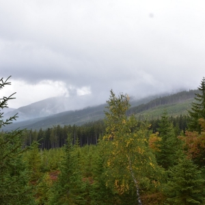 samotnia-karpacz-fot-ewa-jakubowska025