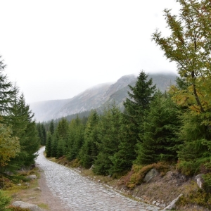 samotnia-karpacz-fot-ewa-jakubowska026