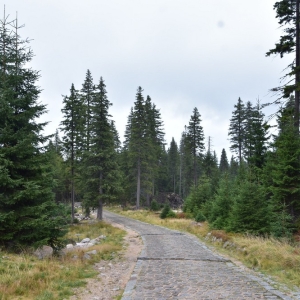 samotnia-karpacz-fot-ewa-jakubowska042