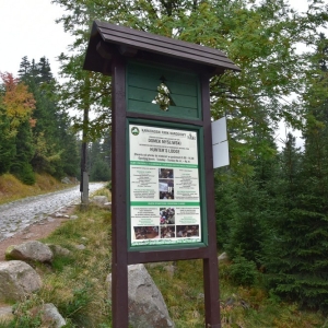 samotnia-karpacz-fot-ewa-jakubowska043