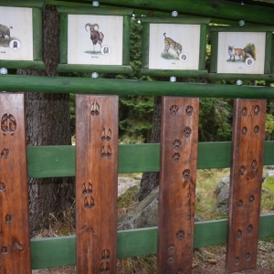 samotnia-karpacz-fot-ewa-jakubowska046