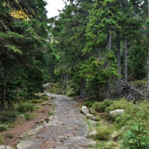 samotnia-karpacz-fot-ewa-jakubowska050