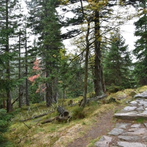 samotnia-karpacz-fot-ewa-jakubowska051