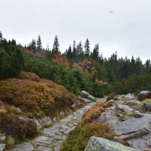 samotnia-karpacz-fot-ewa-jakubowska058