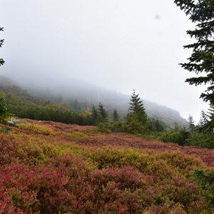 samotnia-karpacz-fot-ewa-jakubowska060