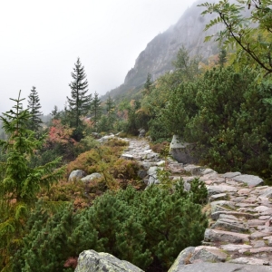 samotnia-karpacz-fot-ewa-jakubowska064