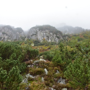 samotnia-karpacz-fot-ewa-jakubowska065