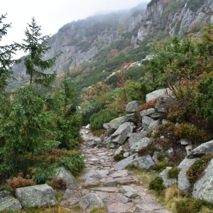 samotnia-karpacz-fot-ewa-jakubowska067